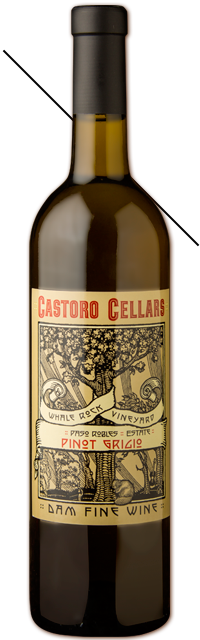 Castoro - Pinot Grigio 2012