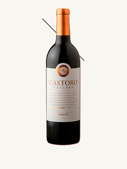 Castoro - Merlot 2011 Estate